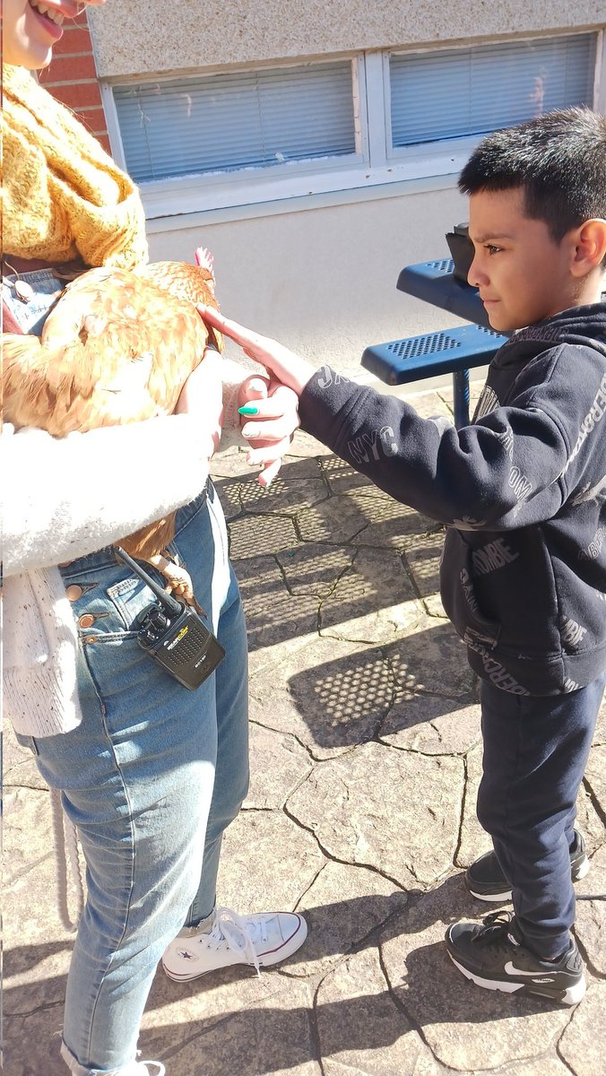 We certainly had fun today with the chickens. Thanks @itcbenson  <a href="/ChrisKnighting1/">Chris Knighting</a> for this wonderful experience! 
@JulieCuocci <a href="/MHES_Eagles/">Marumsco Hills ES</a> <a href="/ParticipateLrng/">Participate Learning</a> 
#UnitingOurWorld