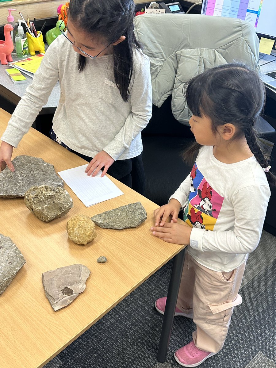 Ms. Musa tweet media