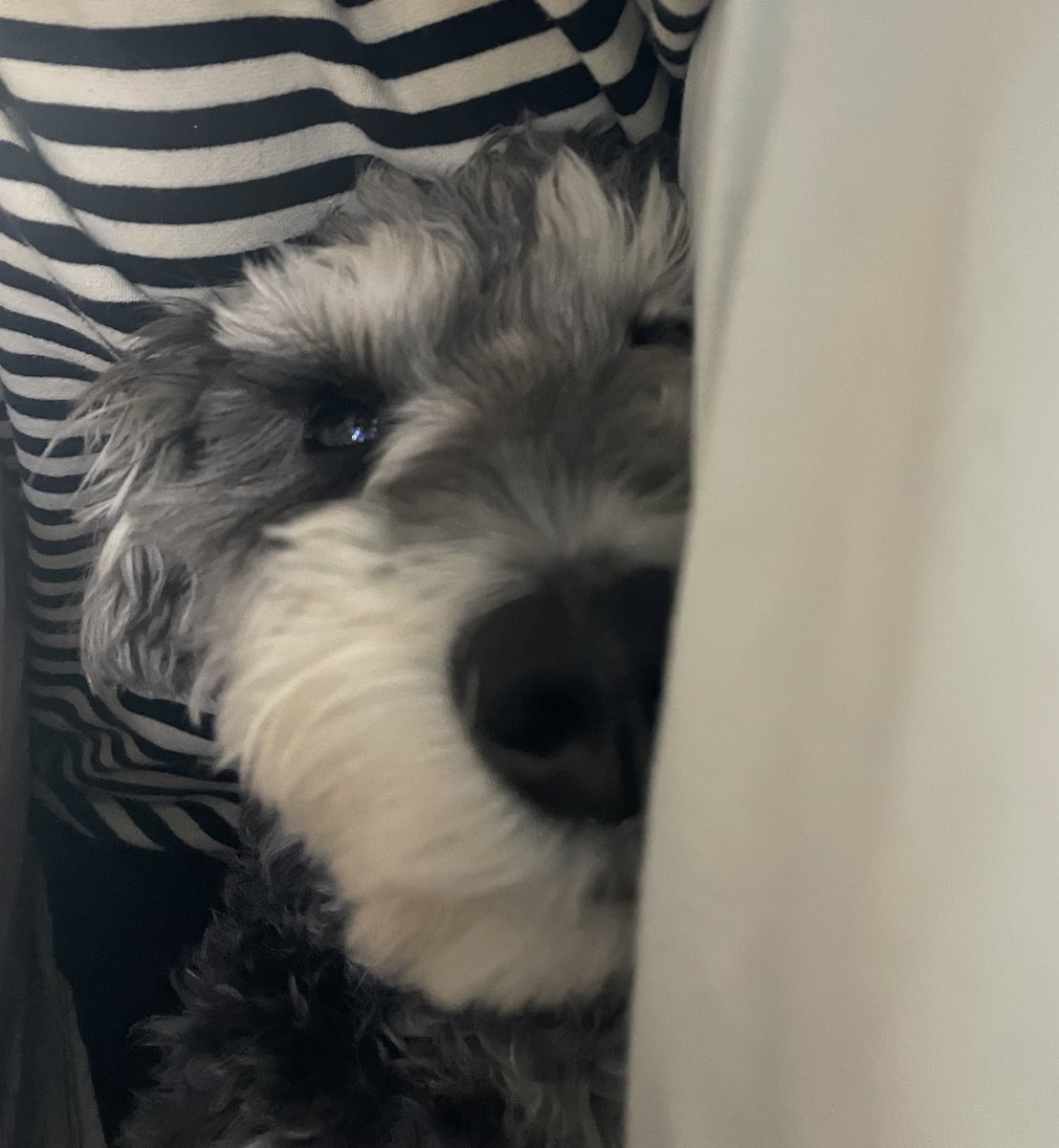 朝起きれなーい😪