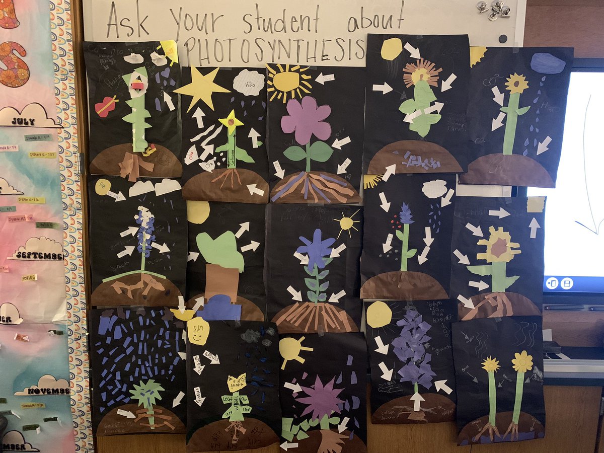 Emily Rudd tweet media