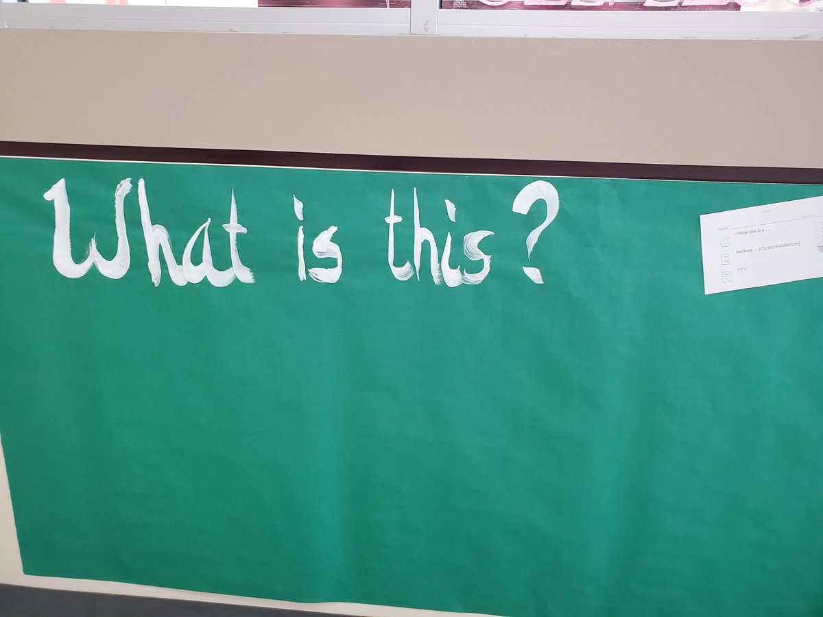 TessSmithTX's tweet photo. When students returned one weekend,  they began guessing what this weird thing is. Week #4 and things are taking off... well some have changed their mind about a rocket ship. #STEMeducation #5Emodel https://t.co/7DG4IqS3sN