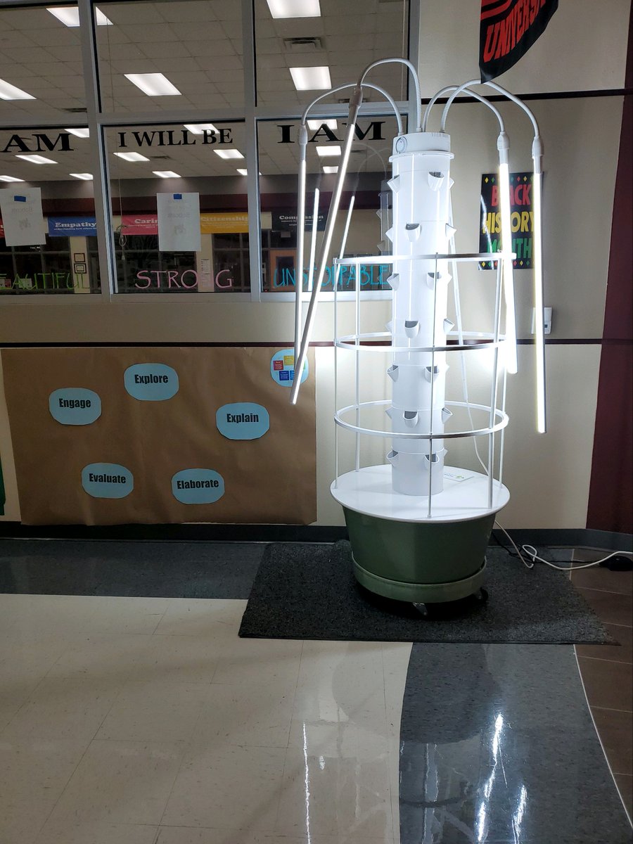 TessSmithTX's tweet photo. When students returned one weekend,  they began guessing what this weird thing is. Week #4 and things are taking off... well some have changed their mind about a rocket ship. #STEMeducation #5Emodel https://t.co/7DG4IqS3sN