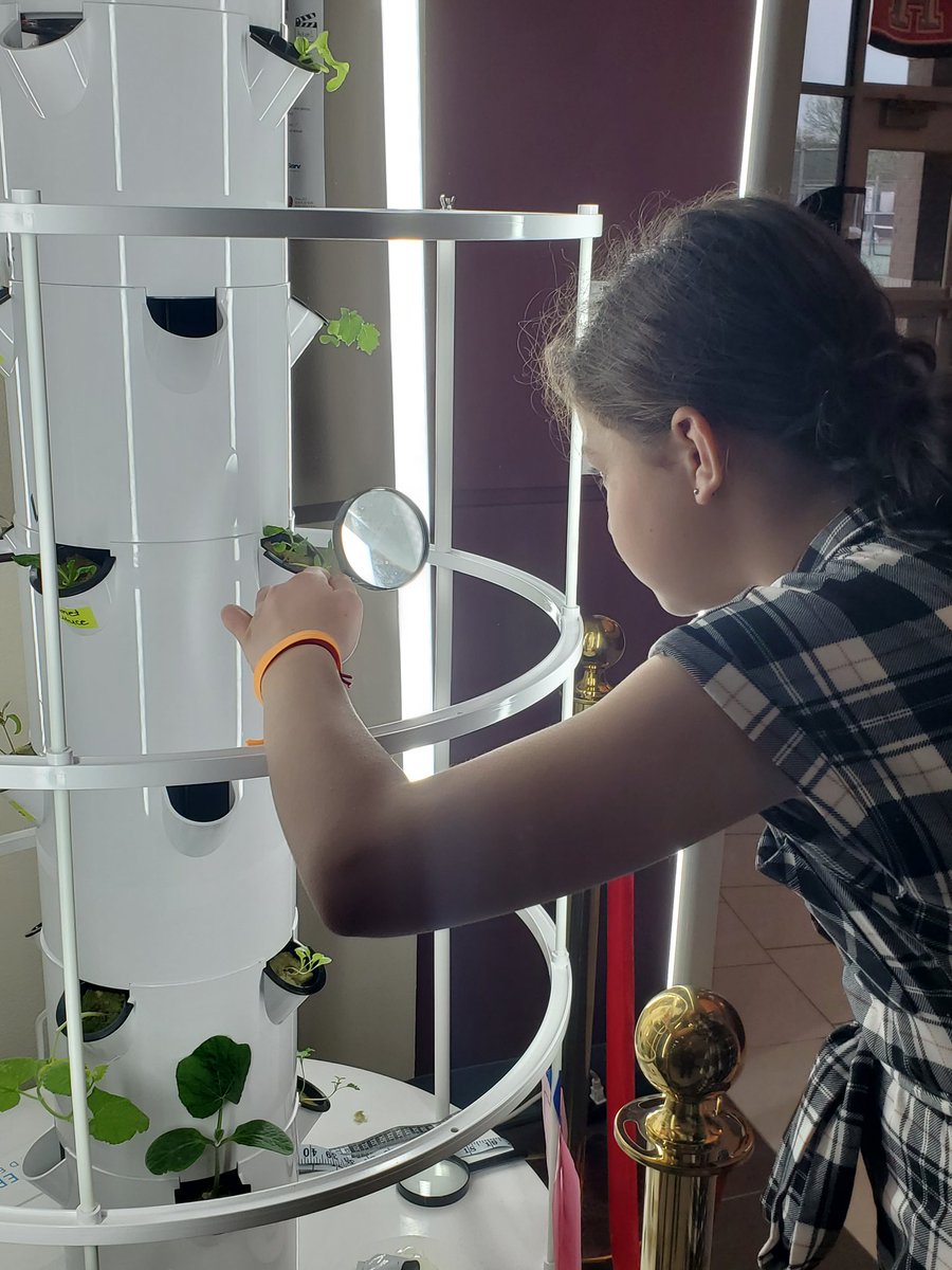 When students returned one weekend,  they began guessing what this weird thing is. Week #4 and things are taking off... well some have changed their mind about a rocket ship. #STEMeducation #5Emodel