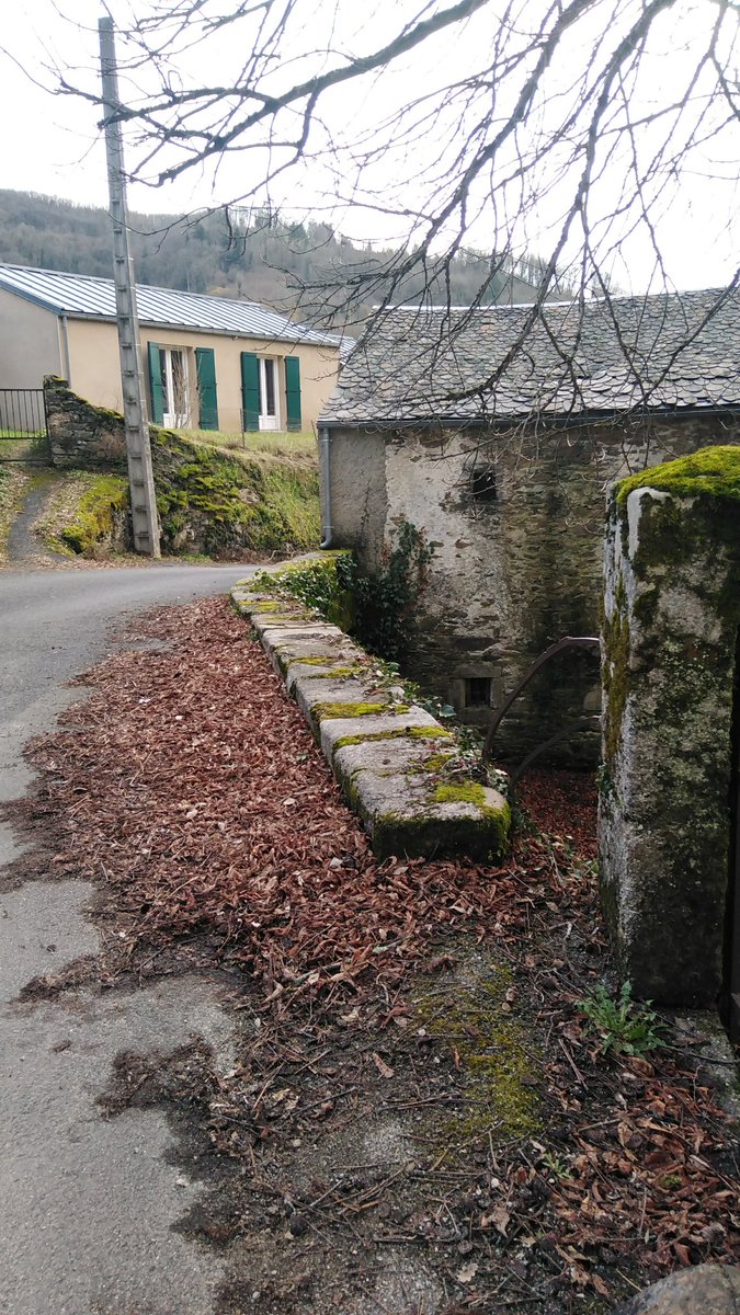 Jonathan du Tarn tweet media