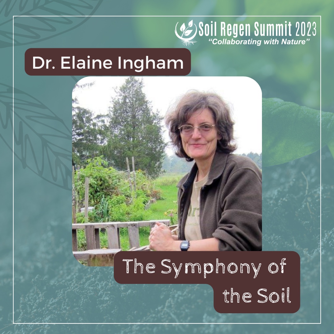 In her talk on Day 1 of the Soil Regen Summit, Dr. Elaine will share how we can collaborate with plants and microorganisms to regenerate living soil. Register for the summit here: srs2023.com