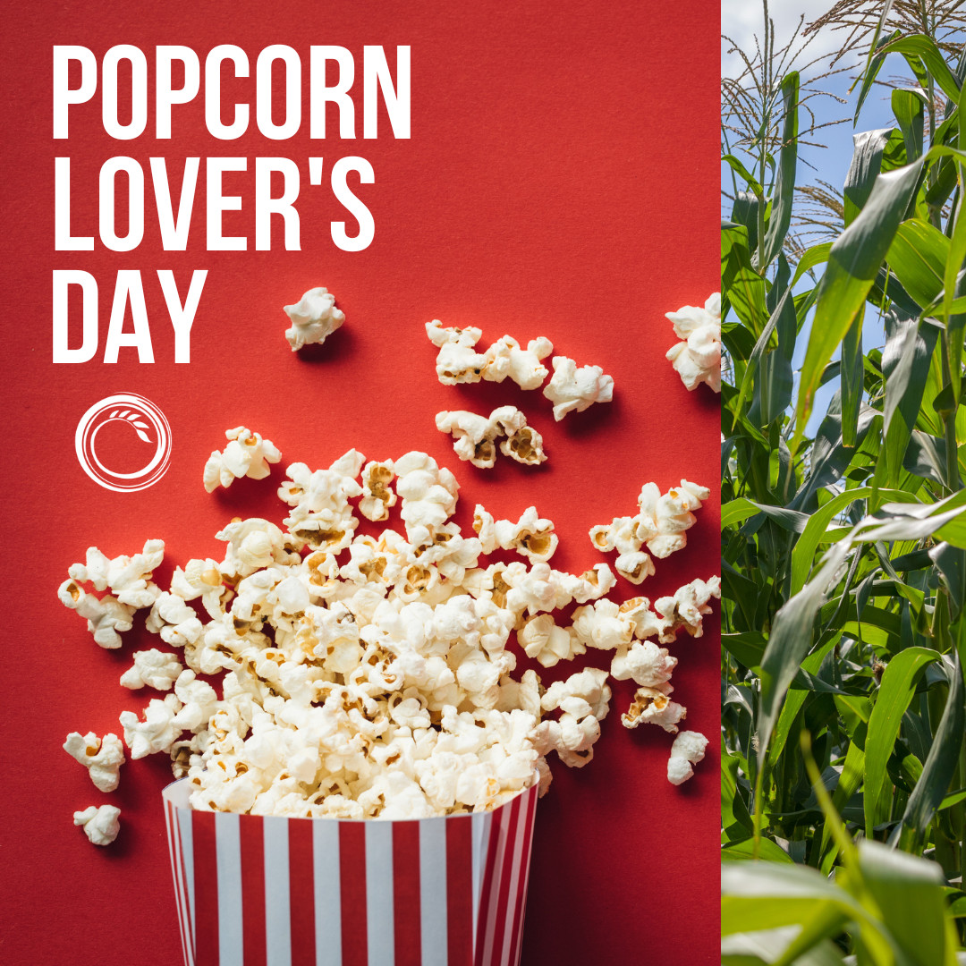 ColumbiaGrain's tweet photo. In honor of Popcorn Lover’s Day on March 10th, stop by your local CGI elevator tomorrow and talk markets over popcorn!
#columbiagrain #CGI #corn #popcorn #popcornloversday #producersolutions #cultivatinggrowth https://t.co/lypAdygOOJ