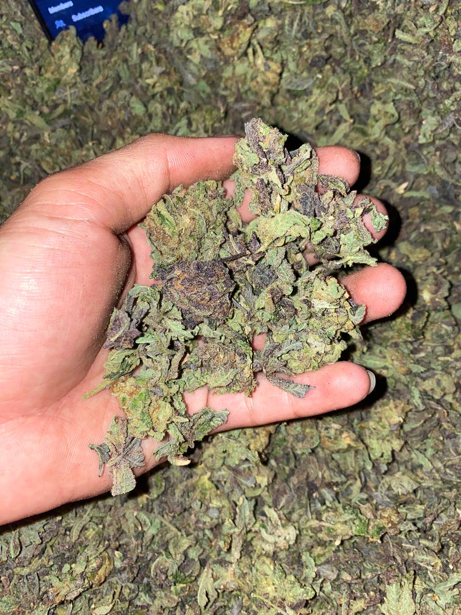 Dav_weed's tweet photo. https://t.co/WGlFuFyngy