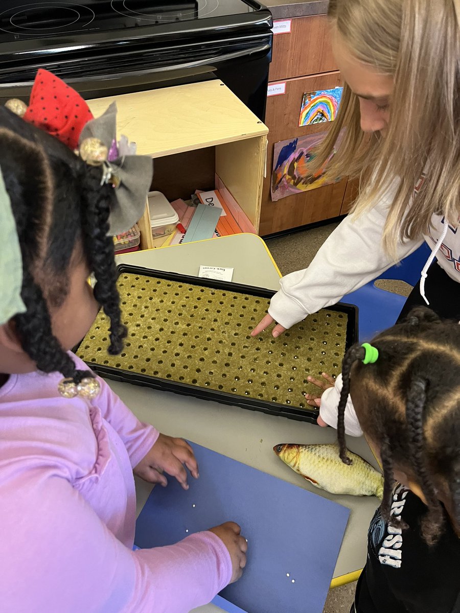 UDHS_FCS's tweet image. Thinking warm thoughts as we planted basil and painted sea creatures inspired by the book #swimmy earlier this week 🌿 🐠 ☀️