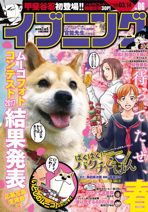 【飼い主報告】人気漫画「いとしのムーコ」モデル犬が息を引き取る 16歳4カ月長寿だったのね。ウチの弟もムーコフォトコンテ