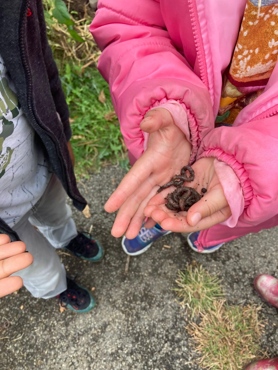 LandToLearn's tweet photo. Check out our most recent blog on the Land to Learn website! Hear from one of our educators about our students exploring the garden.

https://t.co/LbCEjmbGZo https://t.co/cRfexUUTwz