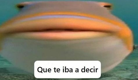 Guarromantico_'s tweet photo. Yo a mitad del audio que estaba mandando. https://t.co/MNFo46xn4n