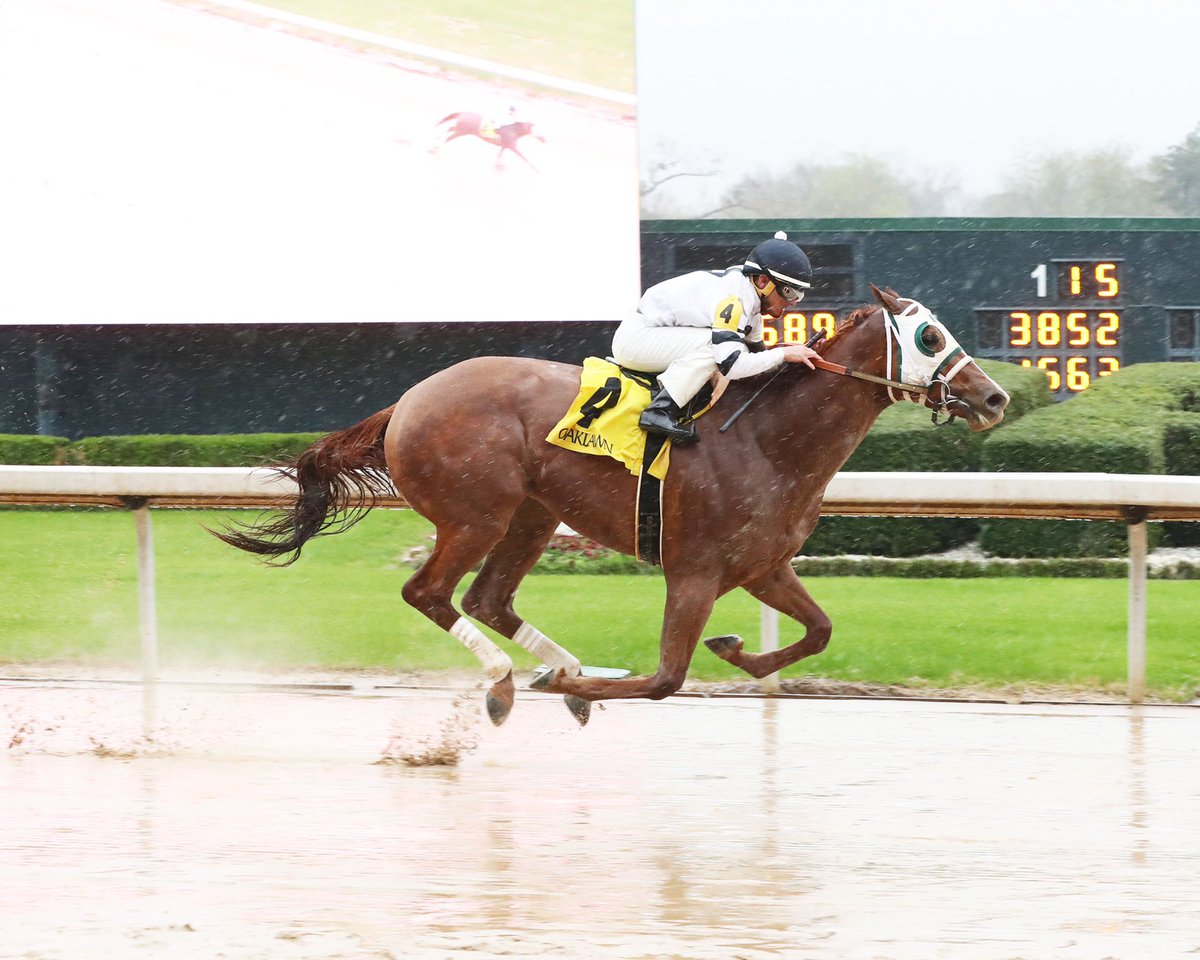 Liz Morris (@lizzym333) on Twitter photo Infiltrator #Tapiture takes the win for Team #DWayneLukas & #HortonRacing Congratulations & Thank you !!! <a href="/gabe__saez/">Gabriel Saez</a> in the irons !!! <a href="/OaklawnRacing/">Oaklawn Hot Springs</a> Courtesy of @CoadyPhoto Infiltrator #Tapiture takes the win for Team #DWayneLukas & #HortonRacing Congratulations & Thank you !!! <a href="/gabe__saez/">Gabriel Saez</a> in the irons !!! <a href="/OaklawnRacing/">Oaklawn Hot Springs</a> Courtesy of @CoadyPhoto