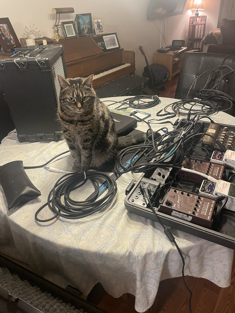 Banjo the Cat is not too impressed with the gear check tonight but at least she's getting through Lent. Ha. 

Great to be practicing, rehearsing snd performing music again! Can't wait to see everyone. ☘️ 🎶 🍻 🌈

#faceondat #bekind #stpatricksday2023