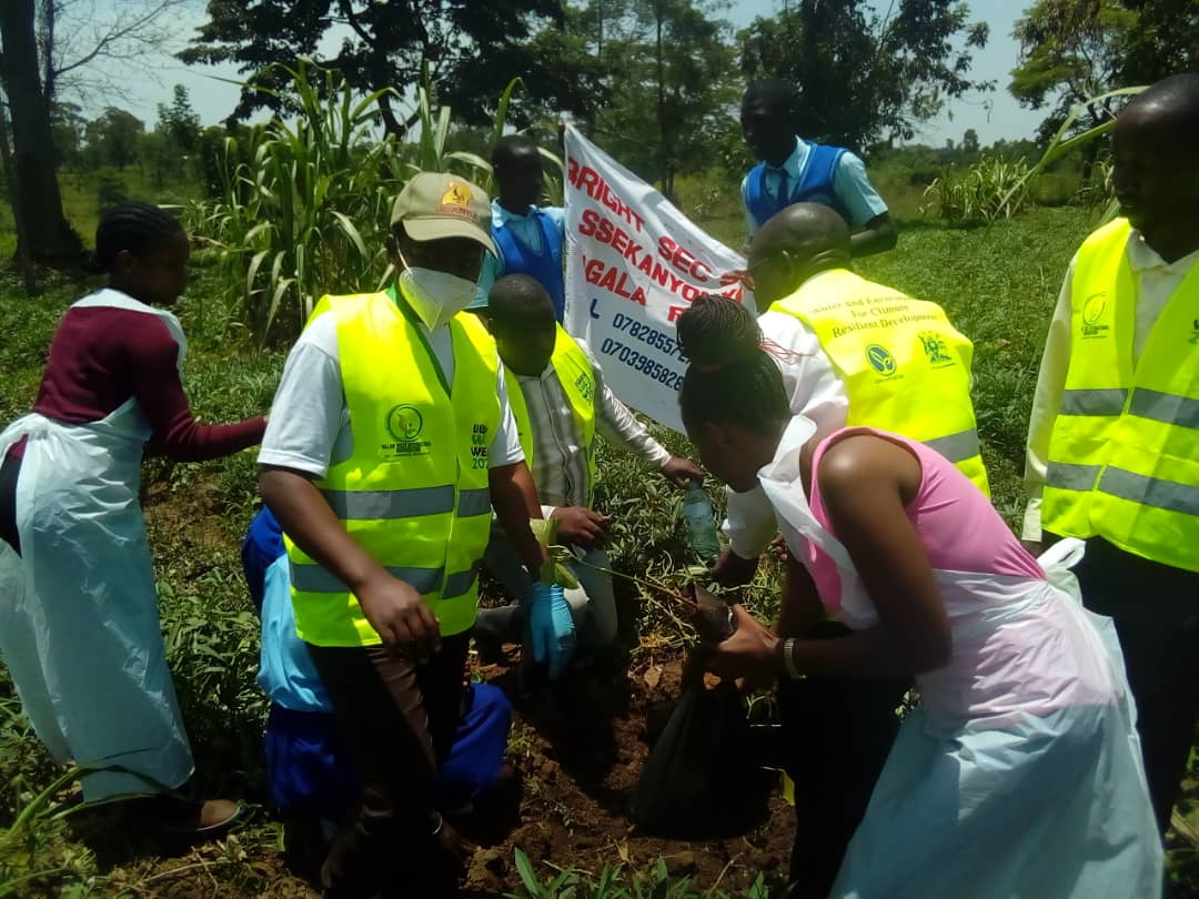 Dr. Jibril Salongo Owomugisha tweet media