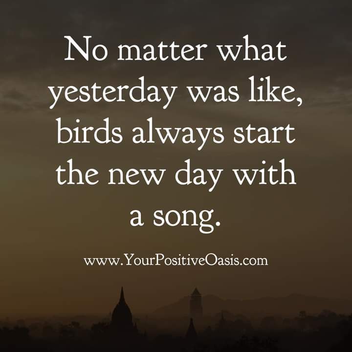 Daily Zen Quotes📚 (@citationsprov14) on Twitter photo 