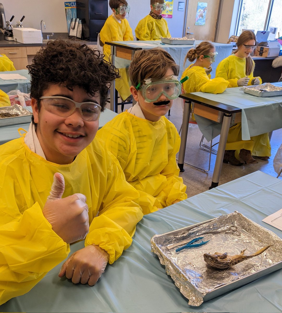 rusho_m's tweet photo. So much fun today at the #frogdissection for #7thRocks @EASTWAKEACADEMY #EWA20 https://t.co/osGe3S2a3e
