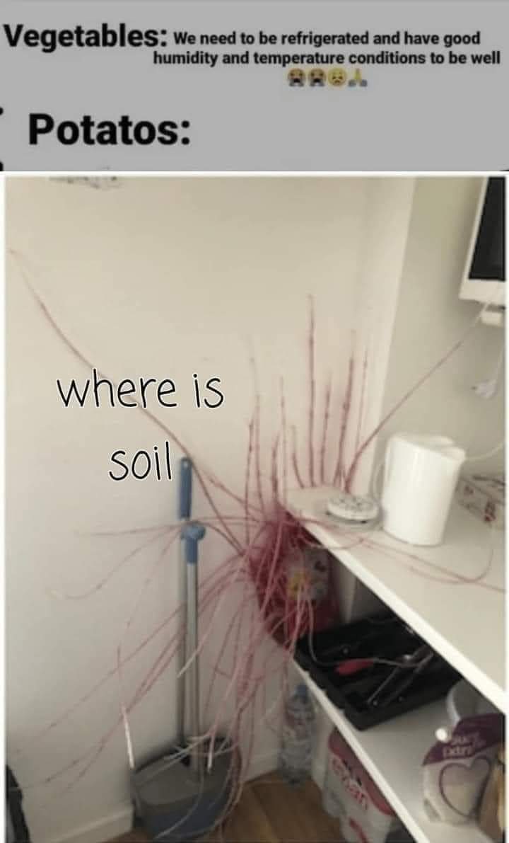 LauraMakesMagic's tweet image. 