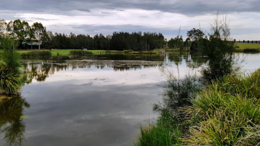 Aquaritin_Turf's tweet photo. Customer: "We are experiencing very unpleasant odor from our irrigation water when it discharges from the sprinkler heads"
Aquaritin: " Easy to fix. For 25 million liters you need just 1.67 liters of @aquaritin per app. Odor issues will go away in 1-2 applications." https://t.co/0Z3zwtKWk5