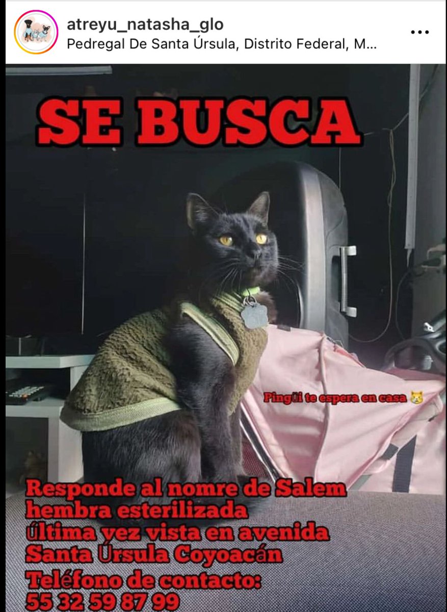 FundColitasFelices tweet media