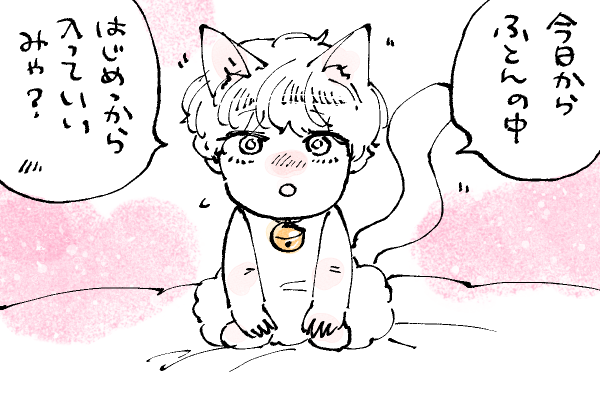 🐱キラキラにゃんこ生活
おうかがい🤭 