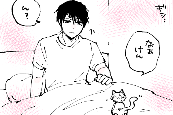 🐱キラキラにゃんこ生活
おうかがい🤭 