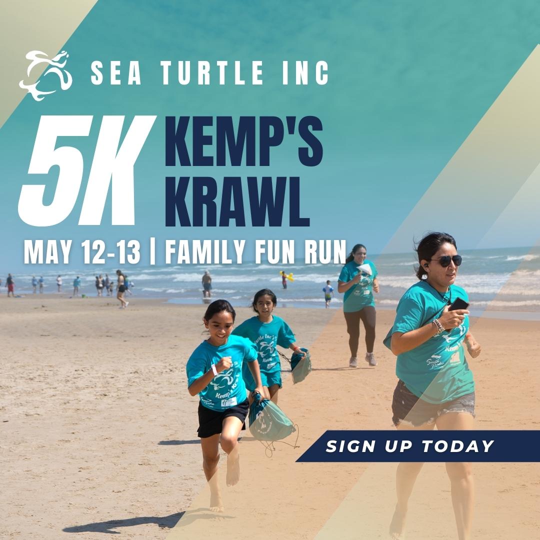 SeaTurtleInc's tweet photo. Run for sea turtles! Helps us raise funds and awareness for these magnificent creatures.
Link to register: https://t.co/7YFlLSeQqu
🏅 Saturday, 5/13/23

🐢 Make a weekend of it! Holiday Inn beach resort reduced rate $129.00 a night.
#southpadreisland #rgv #familytravel #outdoors https://t.co/HObvLMhOSC