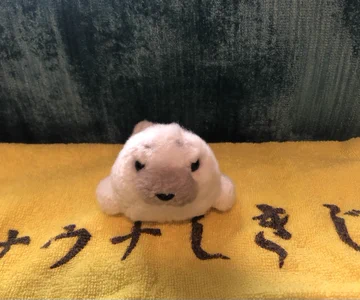 画像 / Picture
