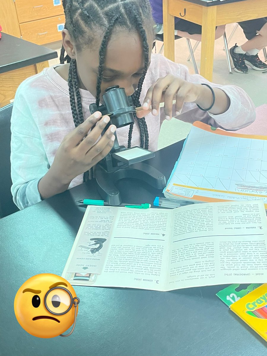 Kimberly Logan tweet media