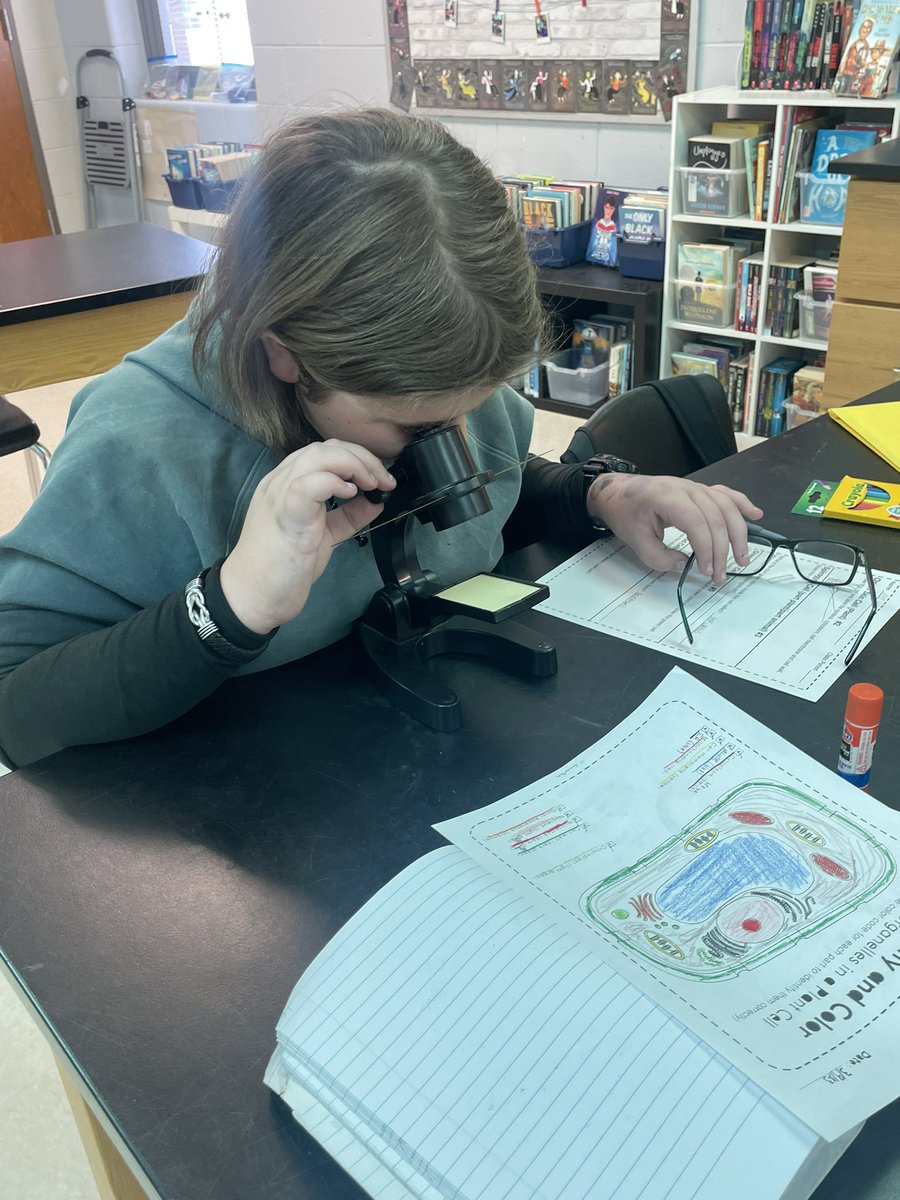 Kimberly Logan tweet media