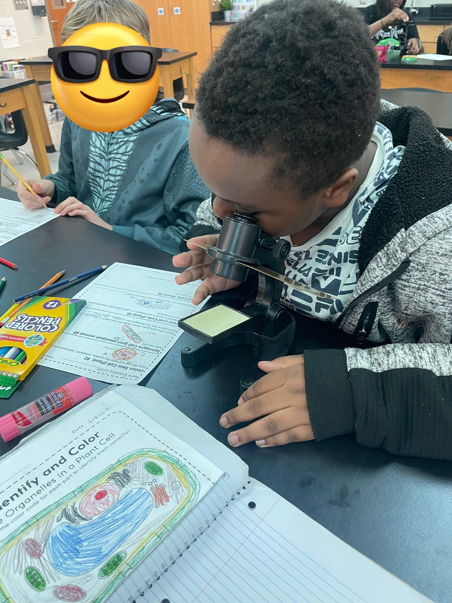 Kimberly Logan tweet media