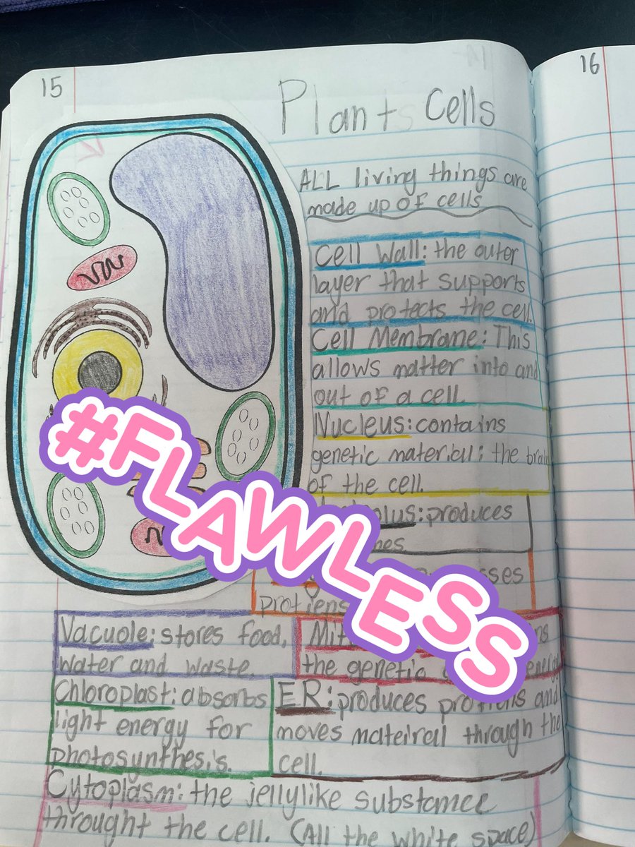 Kimberly Logan tweet media