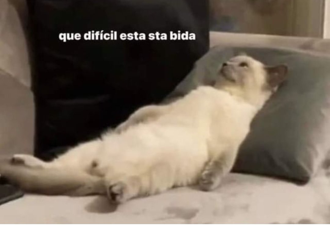 KhalyTargaryen's tweet photo. Iastoiarta
#Jueves
#YaWe https://t.co/xmHXnFvxet