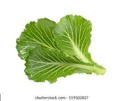 _Woman_health's tweet photo. #CabbageLeaf, the Best Natural Whole Food in Treating #BreastEngorgement https://t.co/Iyi9QZDddm https://t.co/4VObRqDKeS
