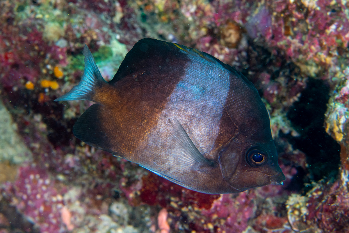 Luiz Rocha, PhD tweet media