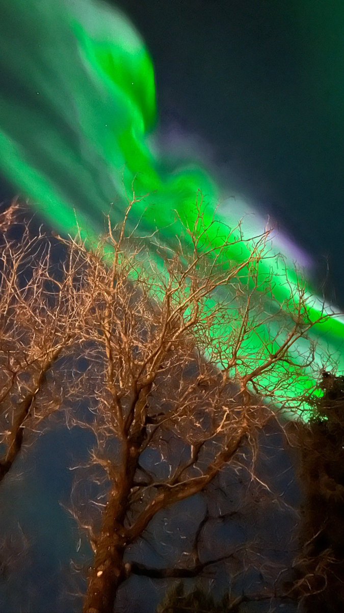 PercyAndrade9's tweet image. Keep me where the Northern Lights are. 🙏🙏🙏🇮🇸

#iceland #selfoss