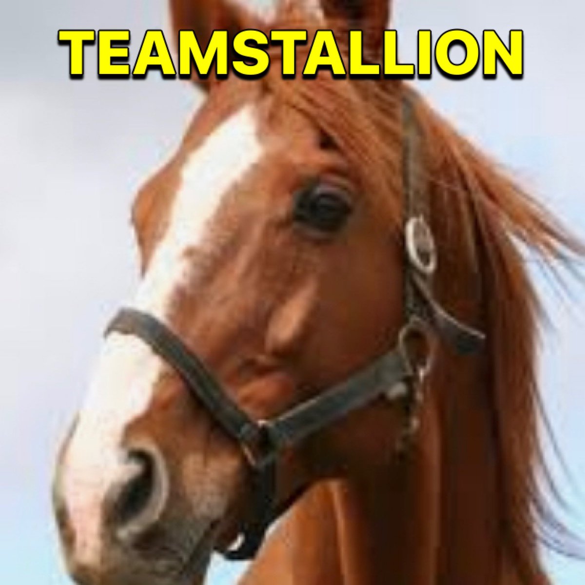 Luisa1E's tweet image. #Tm_Ruby
#TEAMSTALLION

@italianostyle2 
@ruby2015xo 
@MarEthr
@italianostyle1
@ginestarros 
@Luisa1E
@ALESXIA_1
@khalidaajzi 
@R3_Adv
@lumpie125 
@r95731
@Siogo61 
@BrettMGWV2
@bluea125 
@MarthaCandia21 
@JIMENAC__ 
@halconavicencio 
@ME_1b 
@KingDanDrive 
@zaizul_abidin