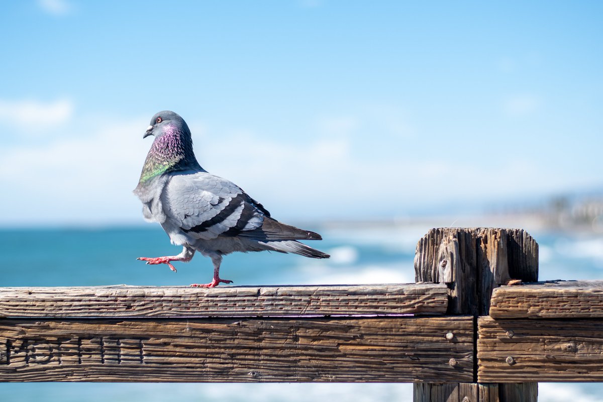 lgralheer's tweet image. Me finding a way to leave Iowa every time there's snow. #notlookingback