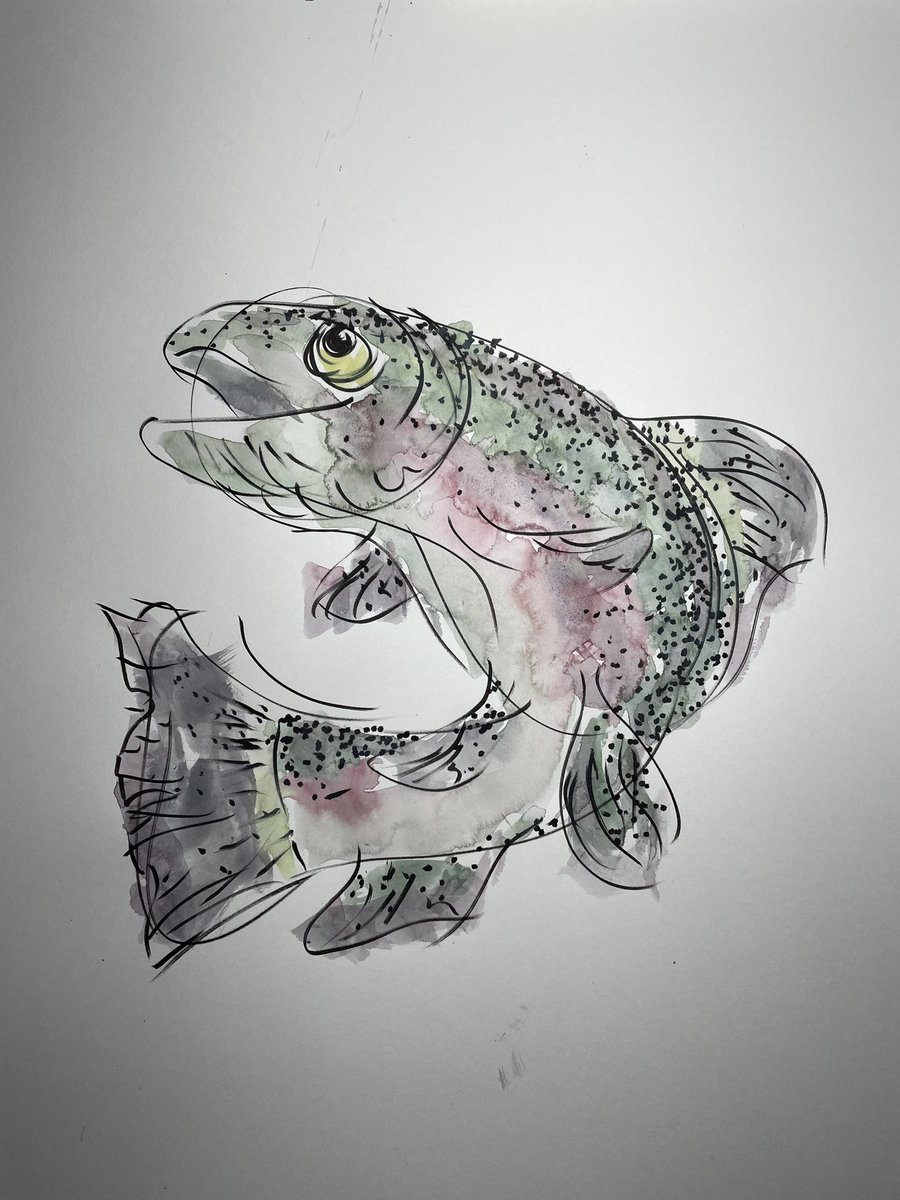 New work #fishing #art #artontwitter #twitterart #artist #fish #trout #rainbowtrout