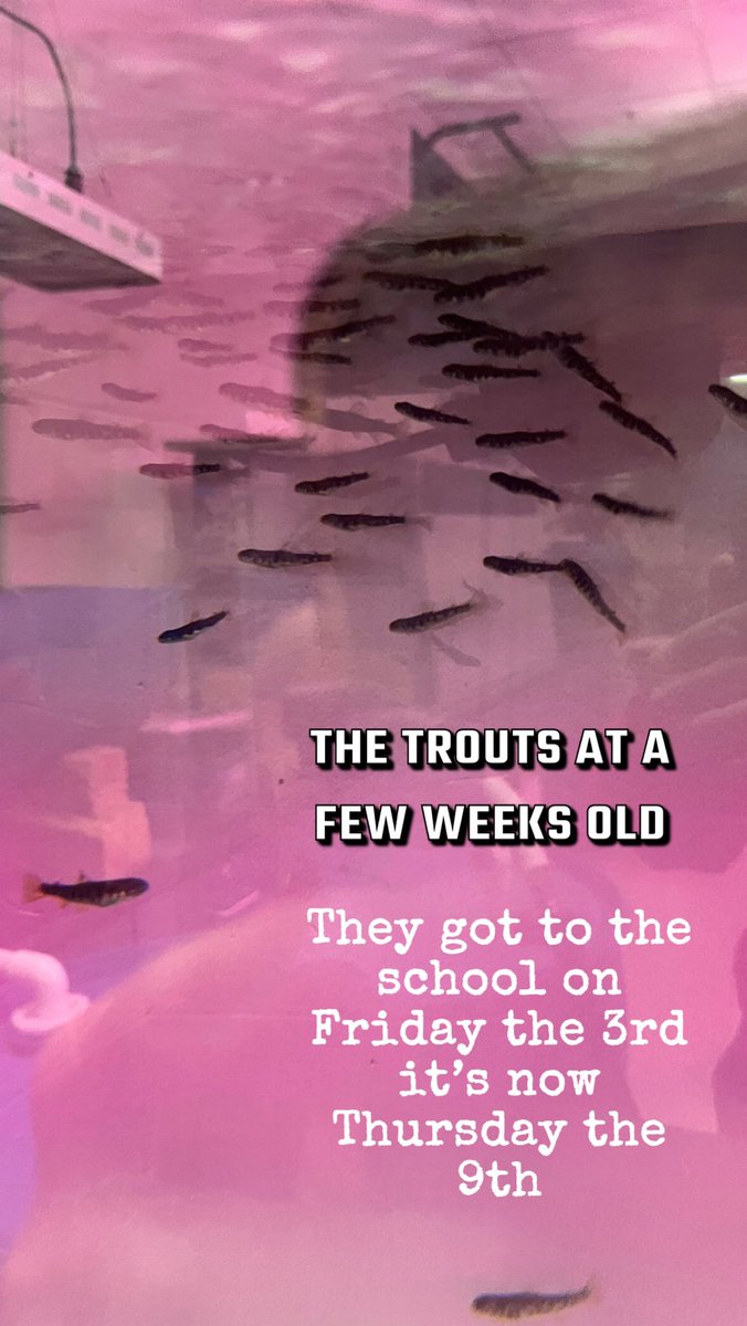 Friends of Stony Brook tweet media