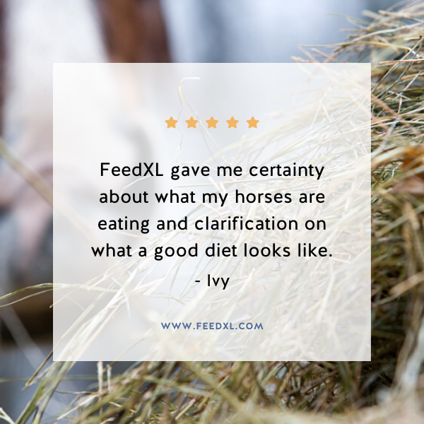 FeedXL's tweet photo. We asked "What's the single biggest benefit you gained from FeedXL?"

Here's what FeedXL member Ivy had to say.

Curious about trying FeedXL? 

👉🏽 Find the plan that best fits your needs at https://t.co/jxWAIPxsQe https://t.co/czo3Wujqee