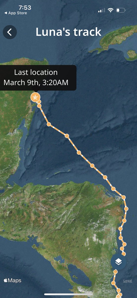 Want to learn more about Global Problem solving AND seat turtles? Come check out our session Friday, March 9 at 9:45 in Marriott University A. For the Love of Sea Turtles, GPS Saves the World #NCTIES23