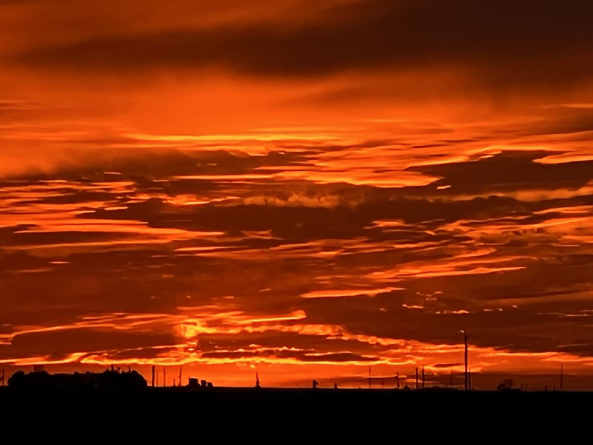 Prentice Fred tweet media