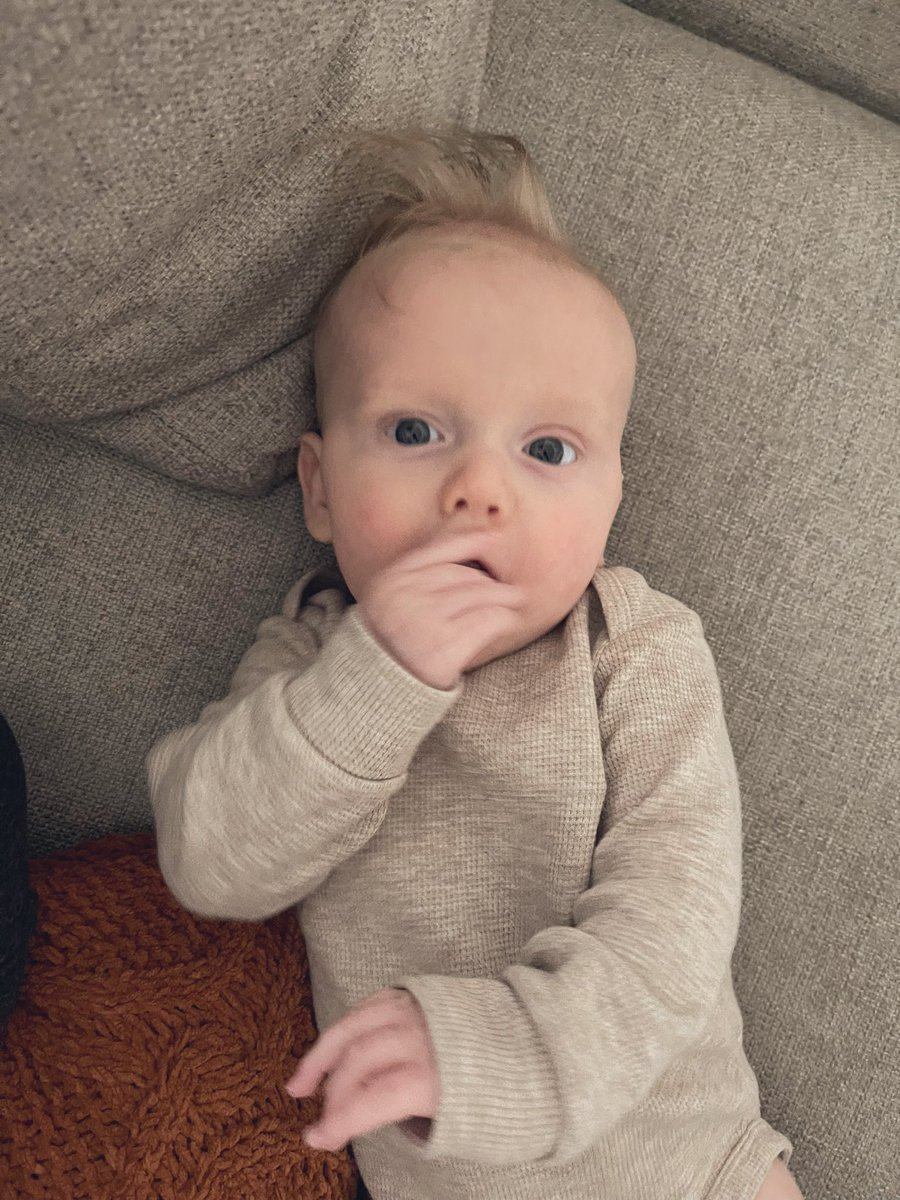 TraciStumpf's tweet photo. Oh hi muffin https://t.co/LgGutWBigx