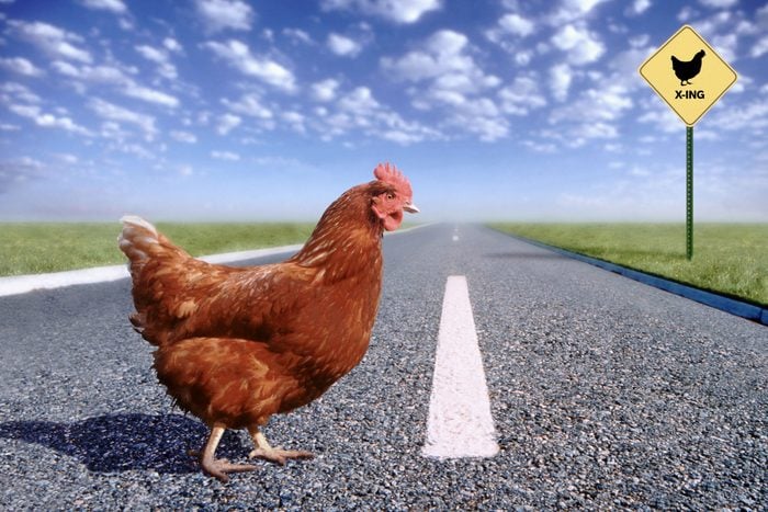 hawaiispeegle's tweet image. Why did the chicken cross the road? To get to Nakoa Kai Insurance Professionals and get a free quote, of course! Okay, maybe that's not how the joke goes, but you get the idea. #FreeQuotes #InsuranceJokes