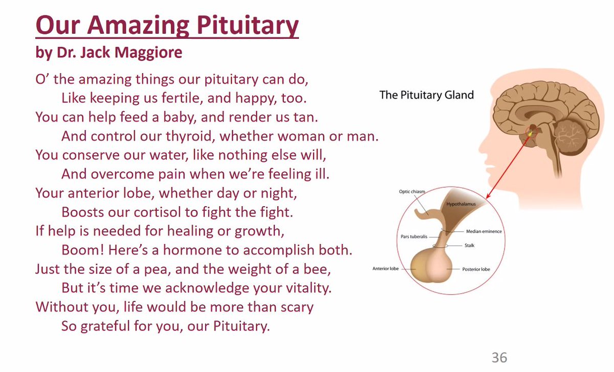 Orr Meltzer tweet media