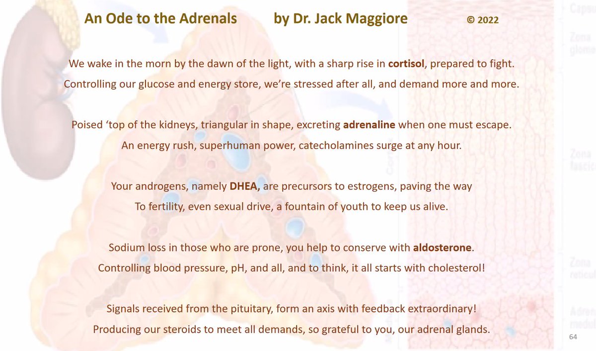 Orr Meltzer tweet media