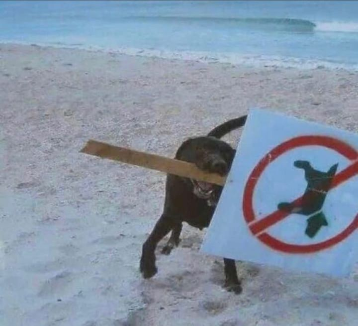 Blest ♰ Boys (@blestboys) on Twitter photo 