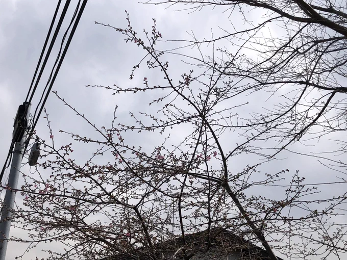 な、なんだと〜っ 