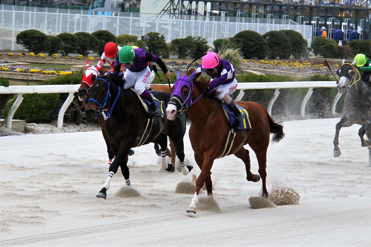 ビナサクセスのお母さんビナスイート
2016年2月  
