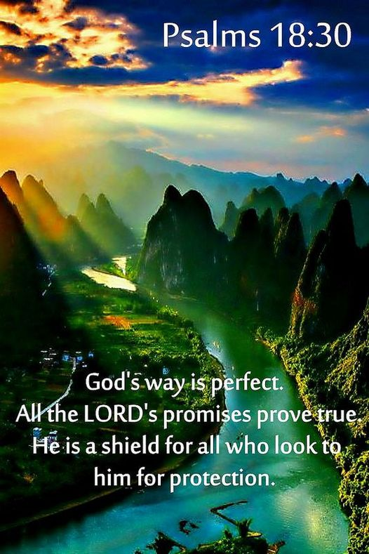 CarmelMMartin8's tweet photo. #GodsWayIsPerfect #GodsPromises #GodOurShield #GodOurRefuge #GodOurProtection #PraiseJah https://t.co/S5k4ZwhAoY